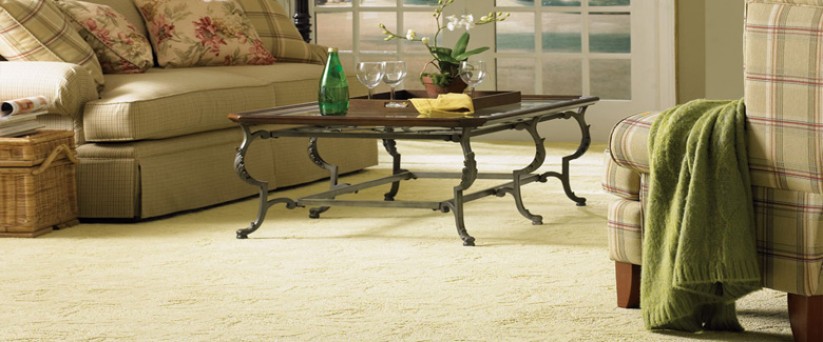 carpet cleaning youghal